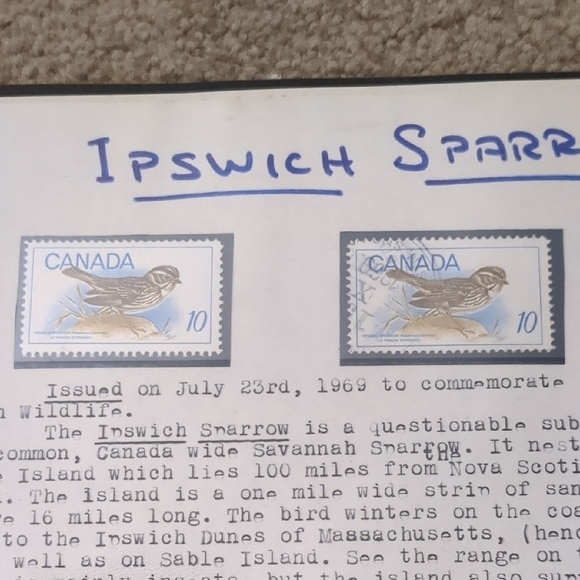 Ipswich Sparrow Home Design Stamp - Picture 2 of 2